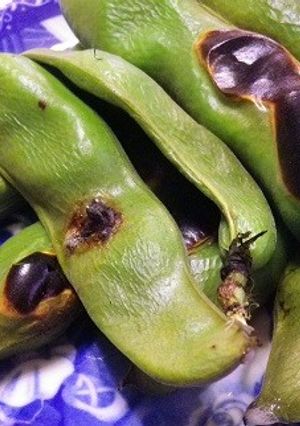 さやごと焼いてほくほくソラマメのおつまみ-レシピのメイン写真