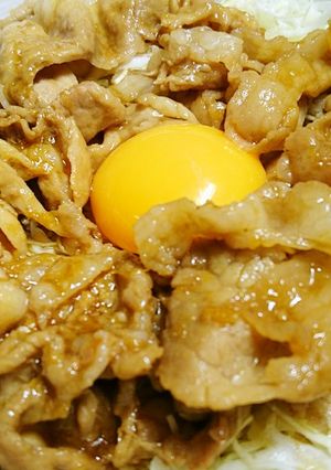 豚冷しゃぶ肉の生姜焼きどんぶり-レシピのメイン写真