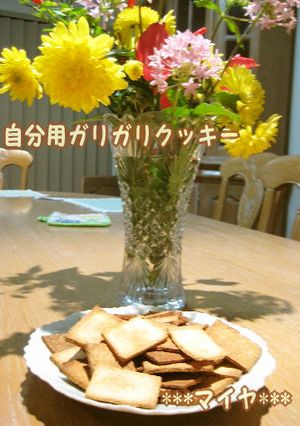 自分用：生おからで簡単ガリガリクッキー-レシピのメイン写真
