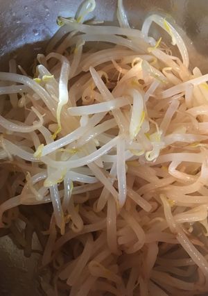 もやしのナムル-レシピのメイン写真