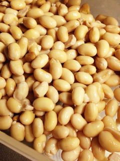 臭みが少なく食べやすい♪手作り納豆-レシピのメイン写真