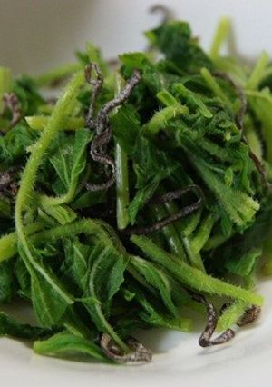 菊芋の葉と塩こぶの和え物-レシピのメイン写真