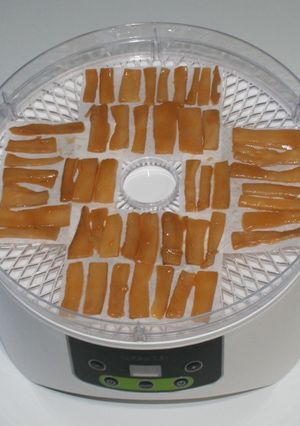 簡単☆おつまみ☆食品乾燥機でドライメンマ-レシピのメイン写真