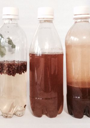 【万能中華調味料】山椒酒-レシピのメイン写真