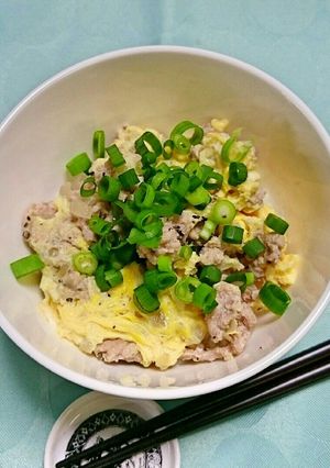 簡単！挽き肉でネギ塩丼-レシピのメイン写真