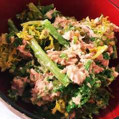 รูปของ ★からし菜のオイマヨサラダ★