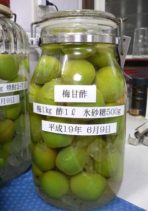 梅甘酢-レシピのメイン写真