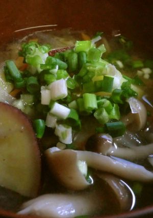 根野菜の味噌汁　息子のダイエット食-レシピのメイン写真
