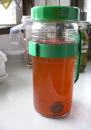 うちの梅酒-レシピのメイン写真