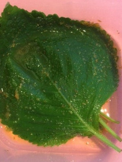 えごまの葉の醤油漬け-レシピのメイン写真