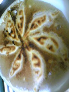 フツーの餃子-レシピのメイン写真