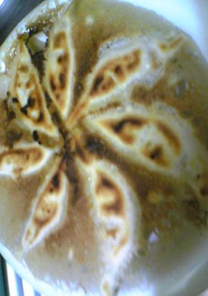 フツーの餃子-レシピのメイン写真