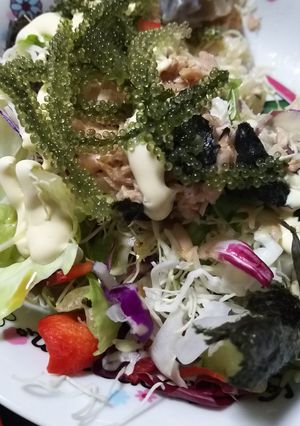 サラダ丼 海ぶどうのせ-レシピのメイン写真