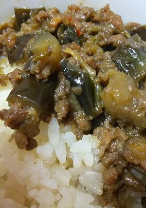 茄子のひき肉丼-レシピのメイン写真