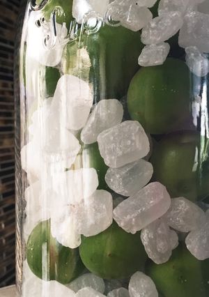 梅ジュース(シロップ )-レシピのメイン写真