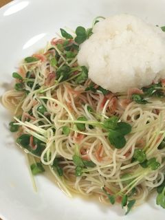 簡単!さっぱり桜エビとかいわれの素麺-レシピのメイン写真