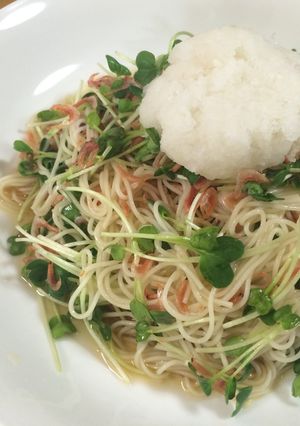 簡単！さっぱり桜エビとかいわれの素麺-レシピのメイン写真
