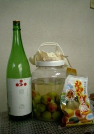 200７年の梅酒（日本酒版）-レシピのメイン写真