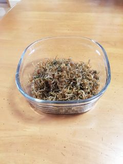ちりめん山椒☆めんつゆで簡単に-レシピのメイン写真