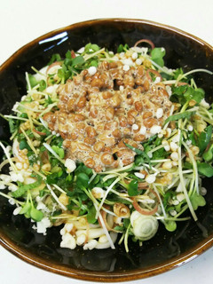 たっぷり五味薬味☆納豆ぶっかけうどん-レシピのメイン写真