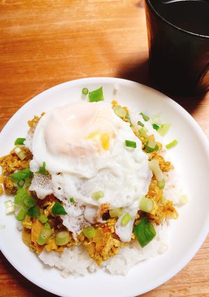 がんもどきで和風ドライカレー-レシピのメイン写真
