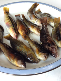 中級者コース 魚の唐揚げ-レシピのメイン写真