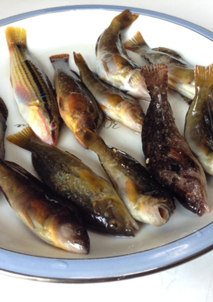 中級者コース 魚の唐揚げ-レシピのメイン写真