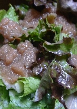 栄養オイルの玉ねぎドレッシング-レシピのメイン写真