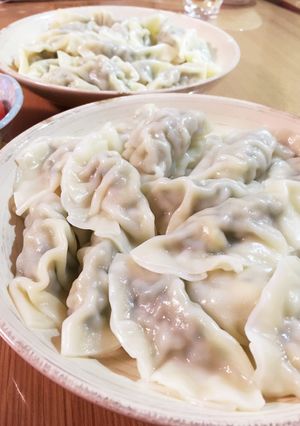 市販の皮で本場水餃子-レシピのメイン写真