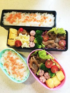 高校生のお弁当17-レシピのメイン写真