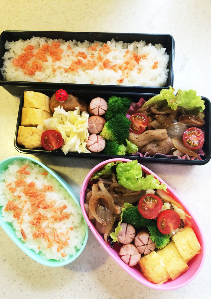 高校生のお弁当17-レシピのメイン写真
