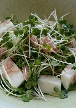 山芋と水菜のさっぱりツナサラダ☆-レシピのメイン写真