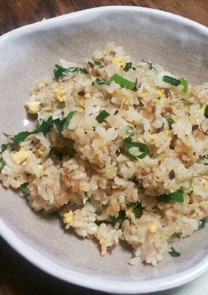 青ネギたっぷり♡塩鯖で☆さばチャーハン☆-レシピのメイン写真