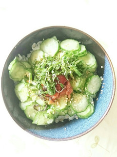 水かけご飯-レシピのメイン写真
