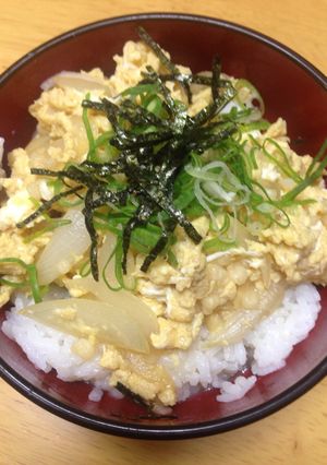 我が家の天かす丼ぶり-レシピのメイン写真