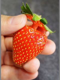 ストローで超かんたんないちごの飾り切り!-レシピのメイン写真