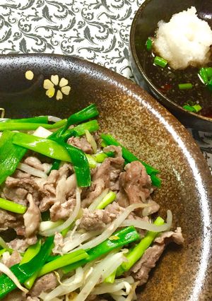 レンジで簡単♬豚もやしのおろしポン酢-レシピのメイン写真