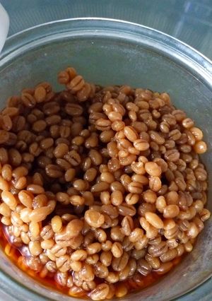 麦麹とめんつゆで醤油麹-レシピのメイン写真