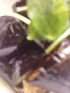 冷やしても美味しい♪ナスの簡単甘辛炒め♡-レシピのメイン写真