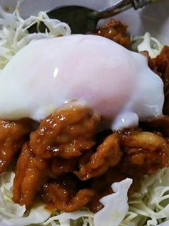 豚丼の温玉のせ-レシピのメイン写真
