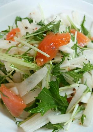 切って混ぜるだけ！サーモンと水菜のサラダ-レシピのメイン写真