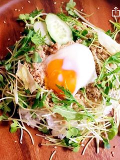 鶏そぼろ丼-レシピのメイン写真