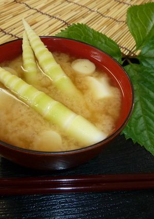 月山筍のみそ汁-レシピのメイン写真