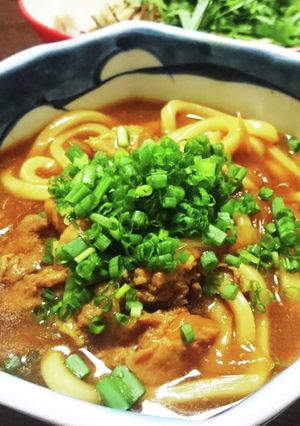 みんな大好き*さっぱりカレーうどん-レシピのメイン写真