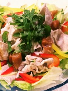 梅しそ☆冷しゃぶサラダ-レシピのメイン写真