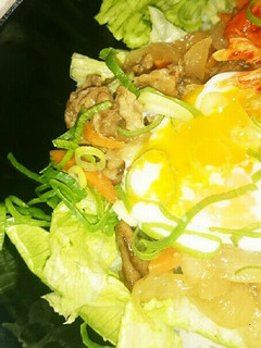野菜もたっぷり♪焼き肉丼ぶり-レシピのメイン写真