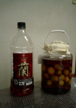 梅酒（ブランデーベース）-レシピのメイン写真