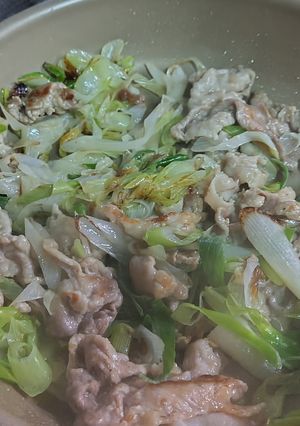 白ネギと豚肉炒め★-レシピのメイン写真