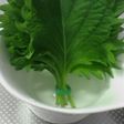 しその保存方法