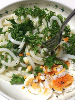 パセリ大葉パスタ風うどんゆで卵添え-レシピのメイン写真